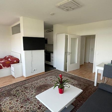 1,5 Zimmerwohnung In Хайдельберг Экстерьер фото