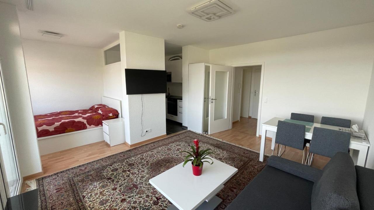 1,5 Zimmerwohnung In Хайдельберг Экстерьер фото